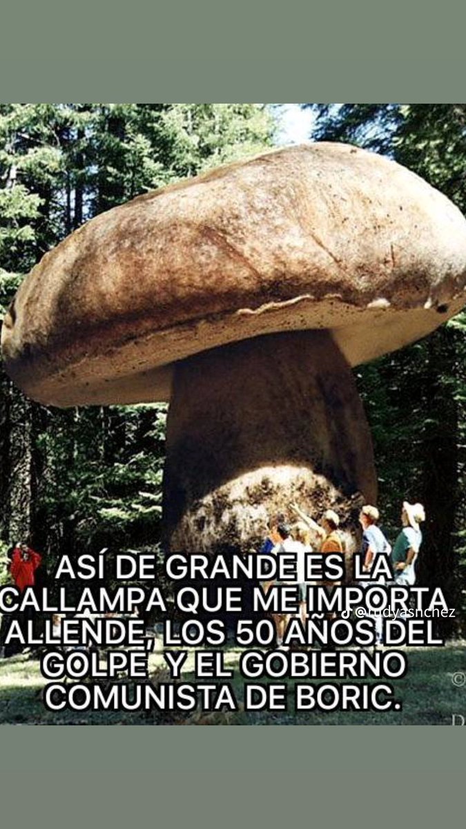 Maha38408872's tweet photo. Cerrado el tema.😌❤️🇨🇱 https://t.co/RooEKiIA1J