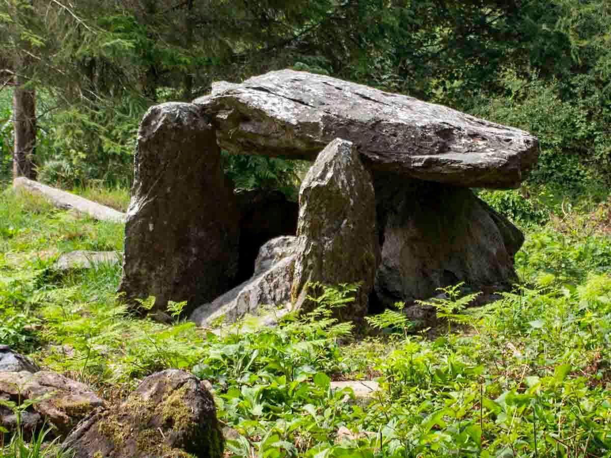 Wexford Walking Trail (@wexford_walking) on Twitter photo Get your walking boots ready & enjoy a weekend of discovery in the great outdoors for Wexford Walking Festival 2023. 
REGISTRATION: online at …fordwalkingfestival2023.eventbrite.ie
Visit wexfordwalkingtrails.ie for info.
#wexfordwalkingtrails #wexfordwalkingfestival2023
#Wexford Get your walking boots ready & enjoy a weekend of discovery in the great outdoors for Wexford Walking Festival 2023. 
REGISTRATION: online at …fordwalkingfestival2023.eventbrite.ie
Visit wexfordwalkingtrails.ie for info.
#wexfordwalkingtrails #wexfordwalkingfestival2023
#Wexford