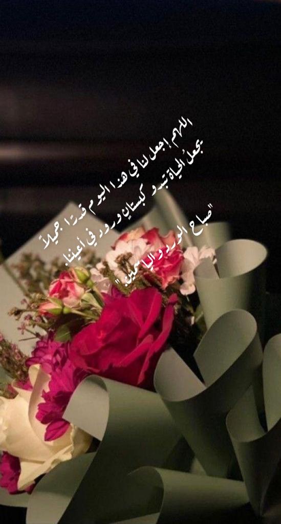 fifi_al7 (@fifi_al7) on Twitter photo 