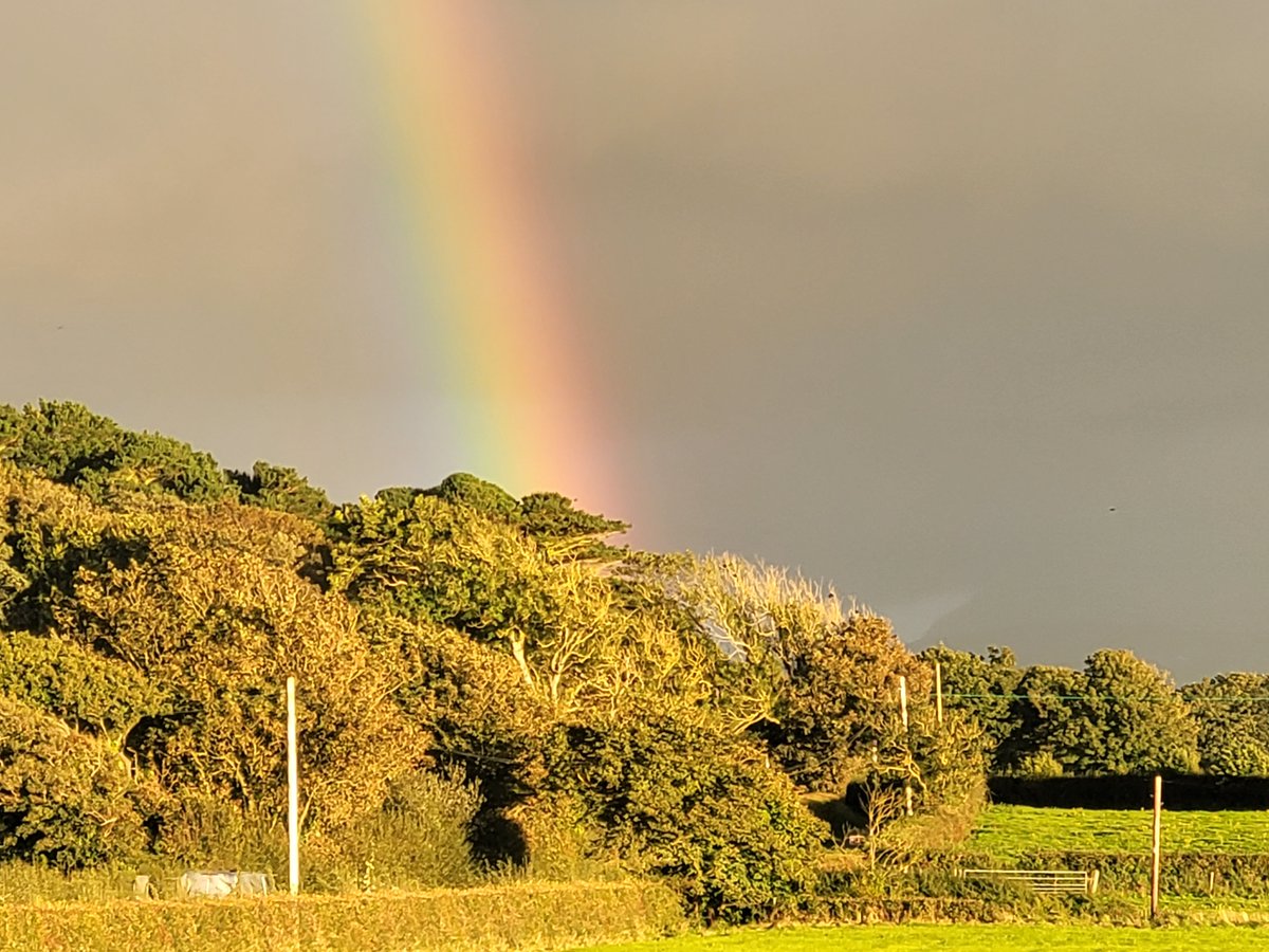 DrCadence's tweet photo. Majestic skies on Anglesey tonight
#clouds #sky #stormh https://t.co/qCUk8Z2wwK
