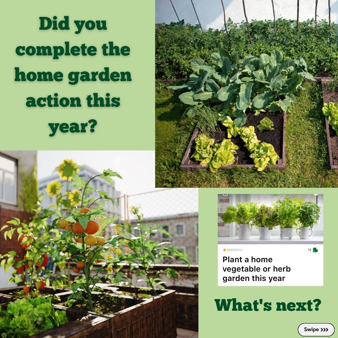 getgreenapp's tweet photo. Planted a vegetable garden this year? It's time to take that harvest and cook up some delectable homemade vegetarian meals! The #GetGreenApp has recipe suggestions and tips on preventing food waste. #homegardening #summerharvest #freezermeals #recipeideas #foodwasteawareness https://t.co/ZR37ioTRSS