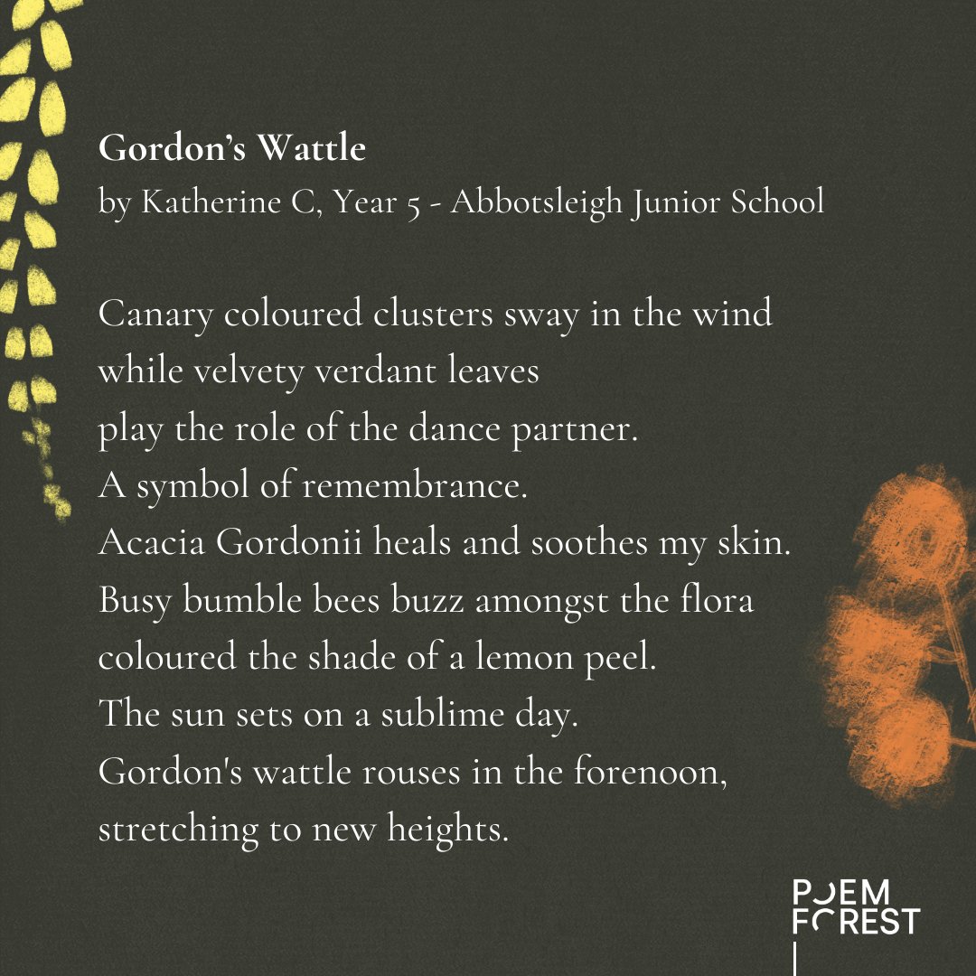 RedRoomPoetry's tweet photo. It's just 9 days to go until POEM FOREST closes for this year - get your poems in now to have a tree planted and go in the running for exciting prizes 🌳  Enter now: https://t.co/LKiXAUarma

#POEMFOREST #WritingCompetition #TeachPoetry #ThreatenedSpecies https://t.co/fkpjCsurHn