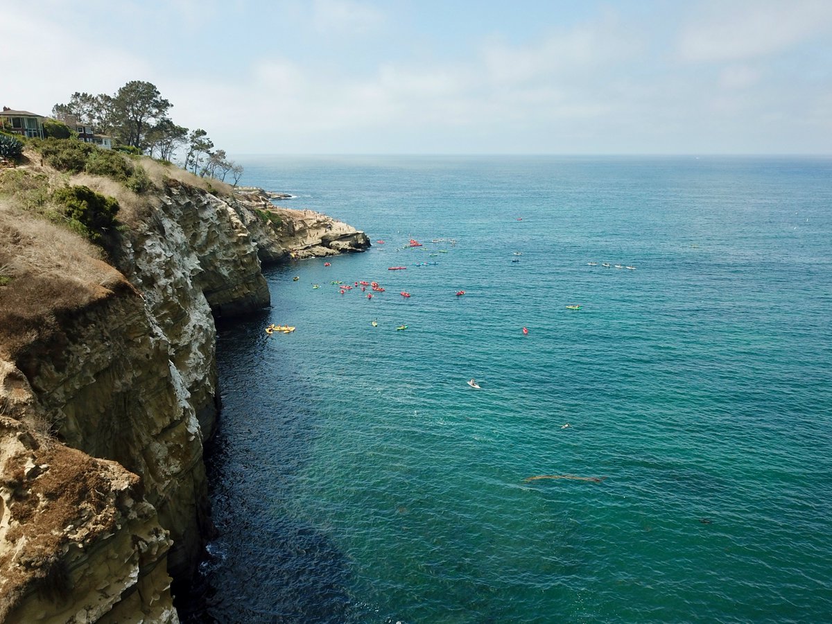 The first Decadal Management Review of California's #MPA Network is here! 📜 Find out more about the @ucsb_nceas #synthesisscience working group that contributed to the review 🐟 Explore the findings in the latest #EDFish Blog: edf.org/Z6mN