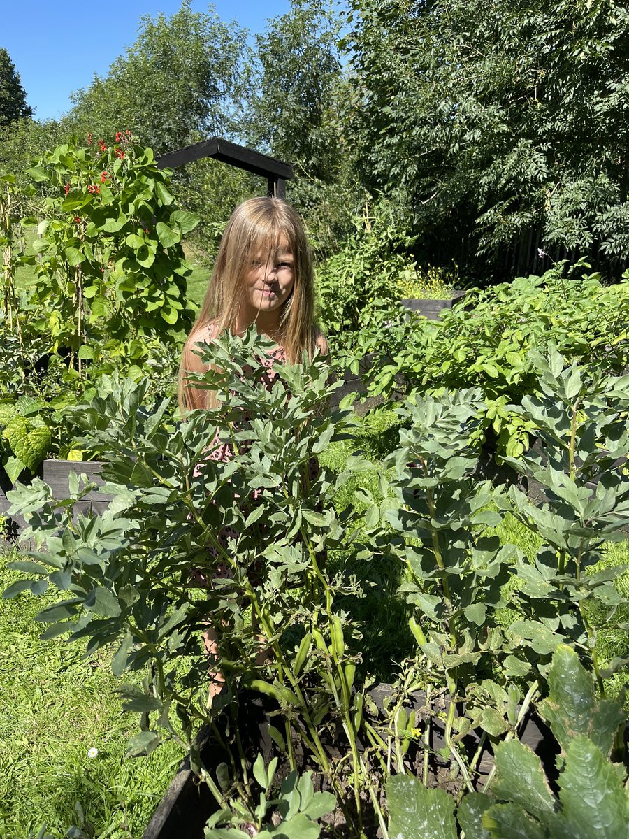 ace_reda's tweet photo. @hillwestprimary It was such a nice experience for Adrian and Dorothy to take care of school’s allotment. According to statistics, almost a third of young children think fruit and vegetables grow on a supermarket shelf. Thank you @hillwestprimary for having the allotment 🙏 https://t.co/WhdZHUF0ij