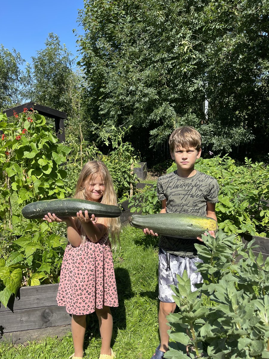 ace_reda's tweet photo. @hillwestprimary It was such a nice experience for Adrian and Dorothy to take care of school’s allotment. According to statistics, almost a third of young children think fruit and vegetables grow on a supermarket shelf. Thank you @hillwestprimary for having the allotment 🙏 https://t.co/WhdZHUF0ij
