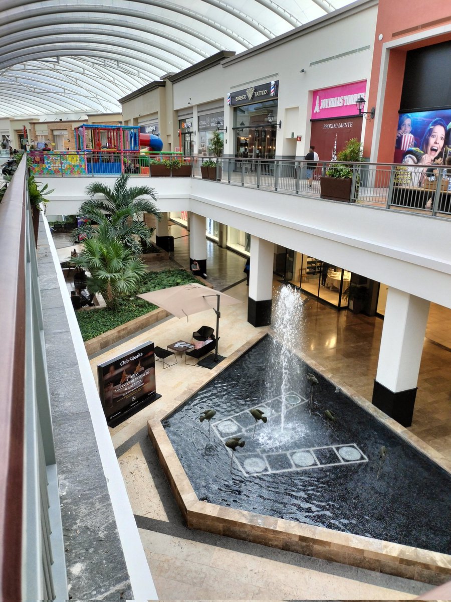 Kari & Adrián tweet media