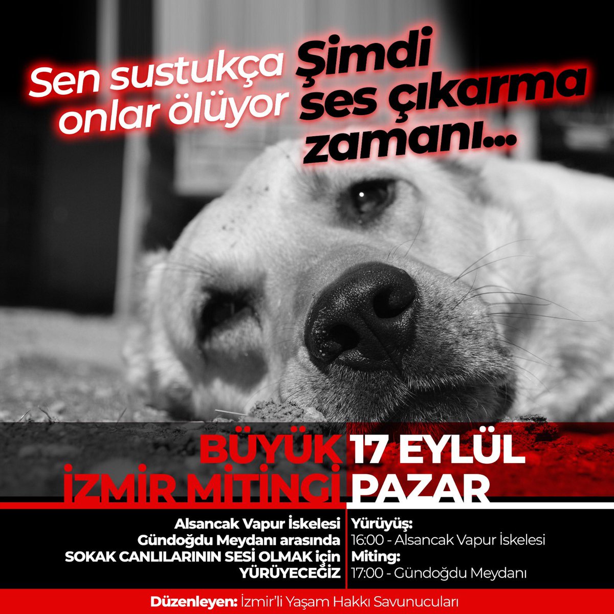 İzmir ordamı ‼️ sesim geliyor mu ses verin  vicdanlar! Bu masum canlar için paylaşmayan kalmasın.benim için onlar için  #senbenyokbizvariz
