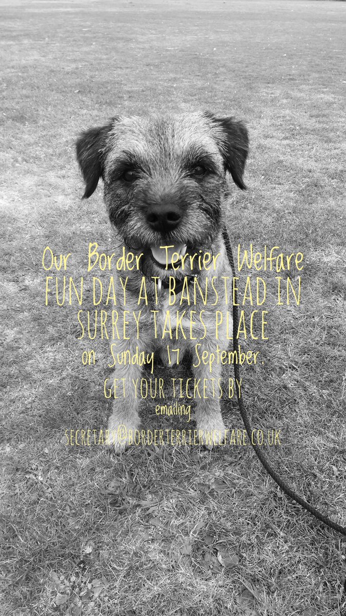 Start with optional group dog-walk on Headley Heath meet at 11am, then we move indoors to
Woodmansterne Village Hall for lunch and talks by our guest speaker, raffle, fun dog show and afternoon tea.
Tickets dog walk only are £2.50. Full day tickets inc lunch are £15 or £5 without