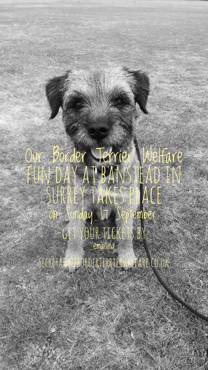 Start with optional group dog-walk on Headley Heath meet at 11am, then we move indoors to Woodmansterne Village Hall for lunch and talks by our guest speaker, raffle, fun dog show and afternoon tea. Tickets dog walk only are £2.50. Full day tickets inc lunch are £15 or £5 without