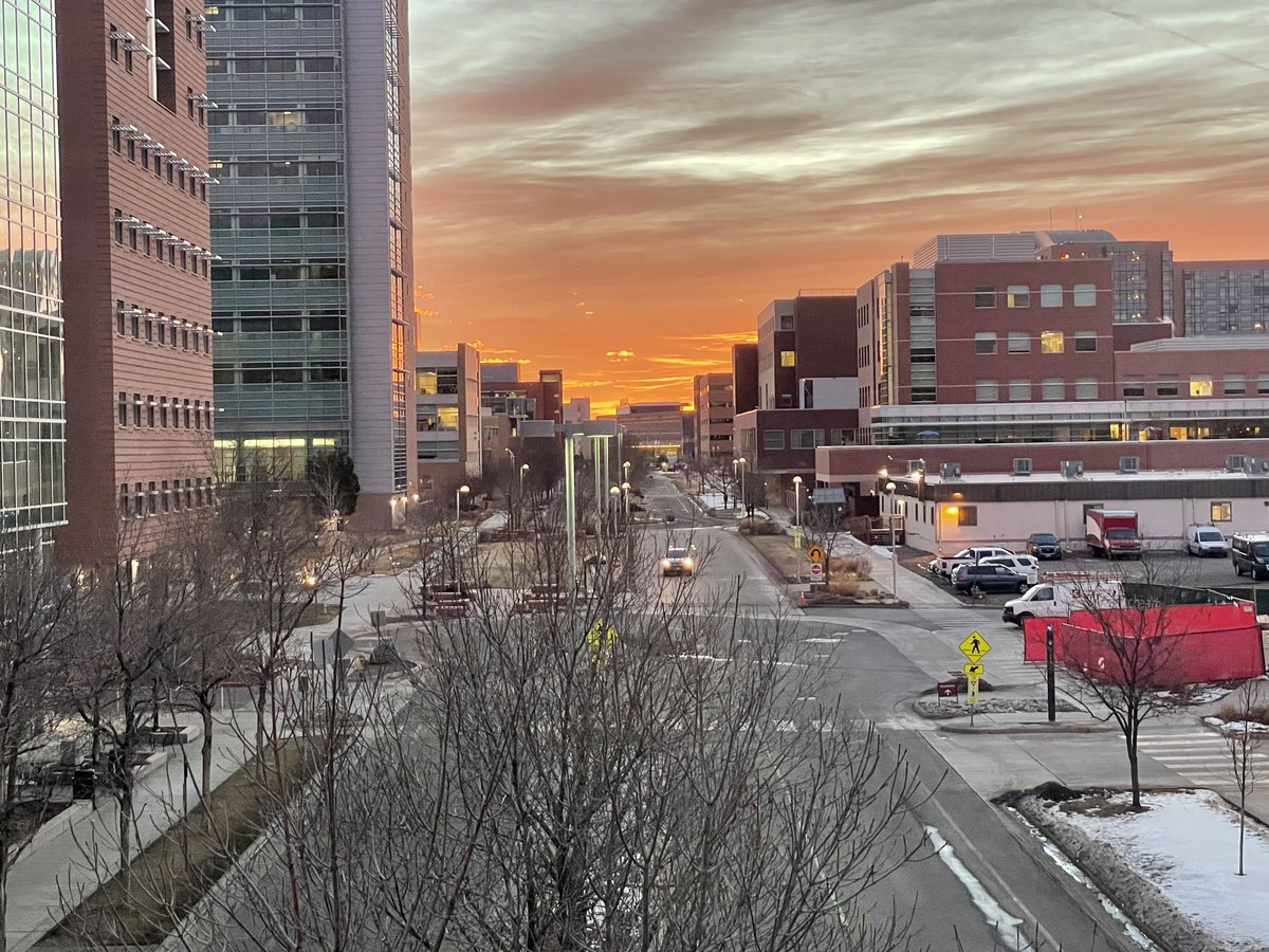 CU Internal Medicine tweet media