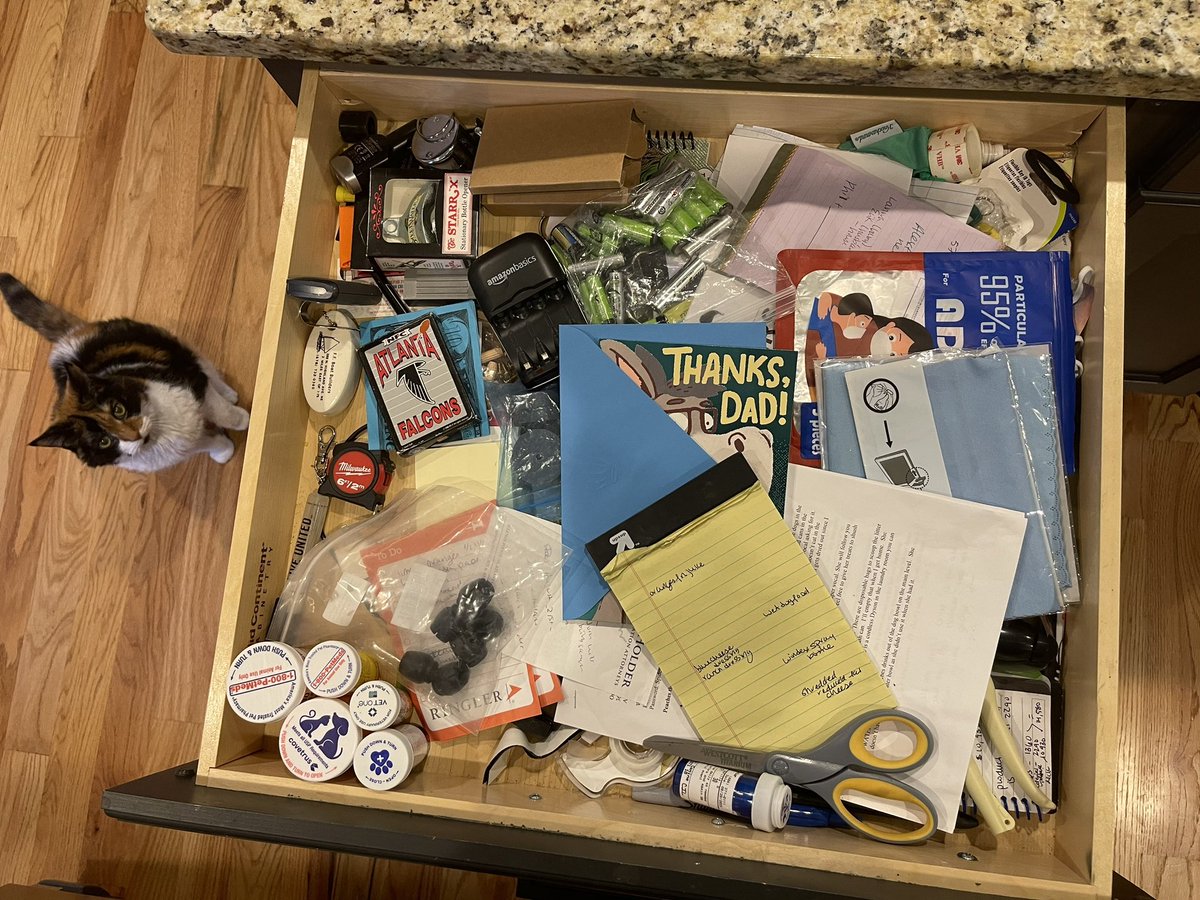 Junk drawer! Bonus cat.