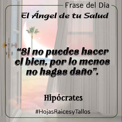 Lavoz_delangel's tweet photo. 🌄 #FraseDelDía 🌄
🧠Tu mente es tan poderosa que cuando la llenas de bondad y pensamientos positivos tu vida cambia✨
#MartesPositivo #CambiosDeVida #EfectoPositivo https://t.co/T3DQtr0ppa