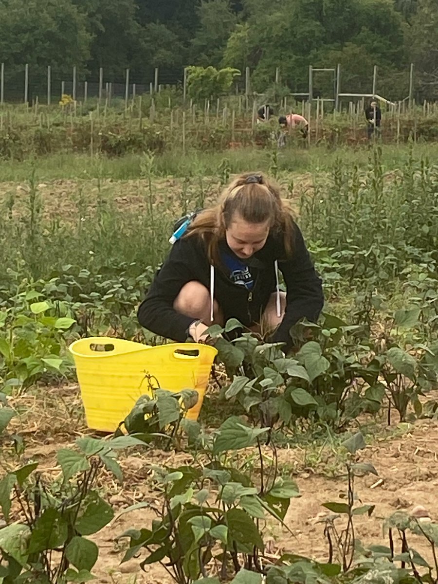 616Service's tweet photo. We had a wonderful time last Friday volunteering on the Kids' Food Basket Farm! 

#farm #service #GR #volunteer https://t.co/xvJ8iGH0rA