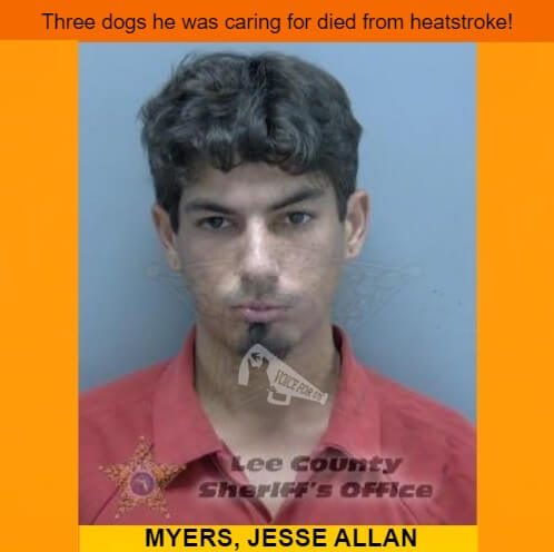 VoiceForUs_'s tweet photo. - Florida, USA -
JESSE ALLAN MYERS arrested after three dogs he was caring for were found dead
https://t.co/G3voCFcwtZ
#VoiceForUs #animalcruelty #crueldadanimal #animalslivesmatter #florida #leecounty #dogs #heatstroke #deathpenaltyforanimalabusers #cruauteanimale https://t.co/CRi8Z48Yd1