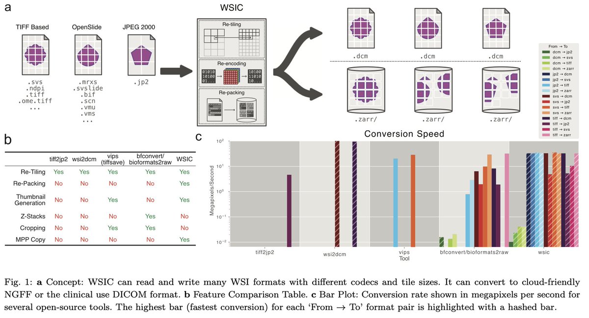 BioinfoAdv's tweet photo. WSIC—A Python Package and Command-Line Interface for Fast Whole Slide Image Conversion by @JohnathanPocock, @sea_raza, @fayyazhere &amp; @nmrajpoot https://t.co/Bq3s7MdD5L https://t.co/c0EssKYlXe