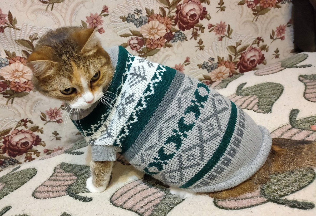 Готовимся к холодам)))