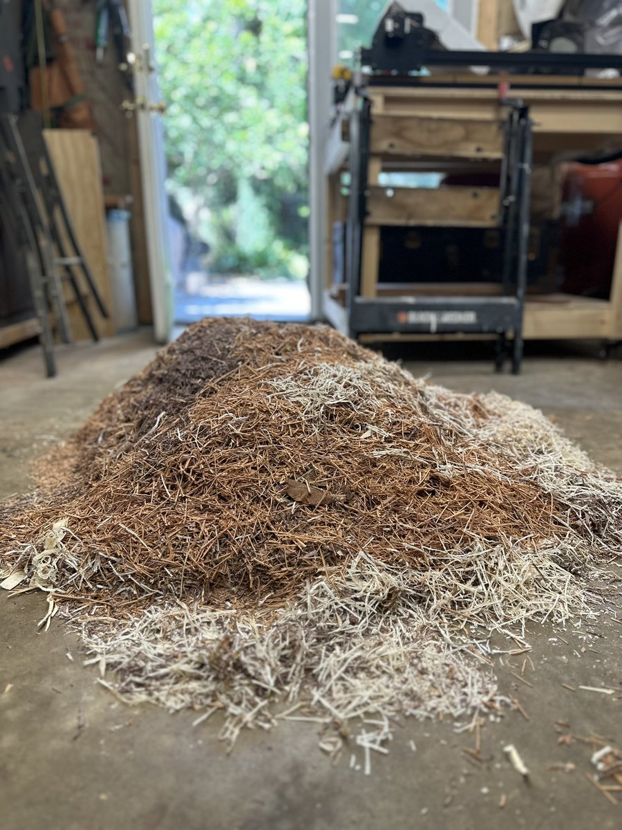 Sean Rankin (Robber) tweet media