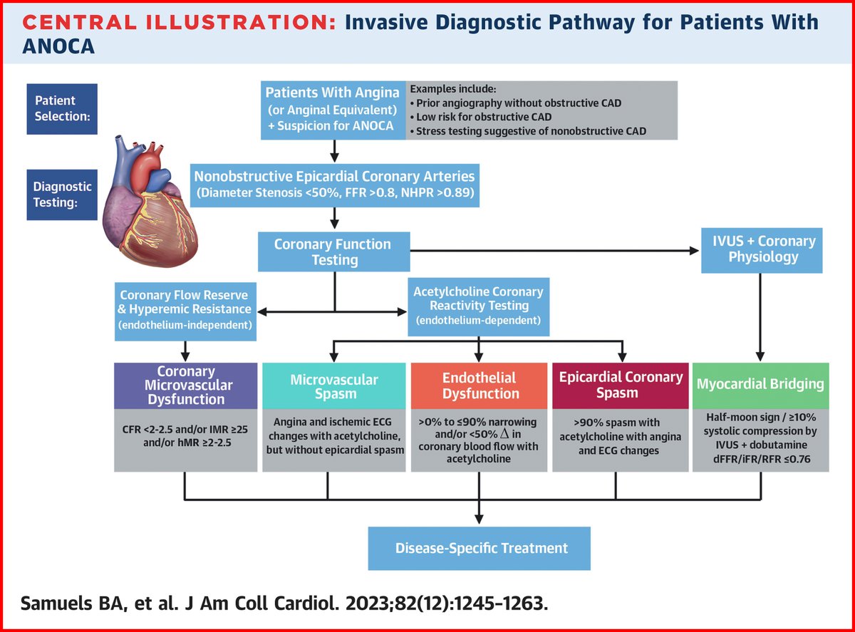 New #JACC State-Of-The-Art Review: Angina with nonobstructive coronary arteries (#ANOCA) is an increasingly recognized entity among the #Cardiology community. In Part 1 of this review, the authors define and discuss Dx in this important disease process: bit.ly/3rfX1Ko