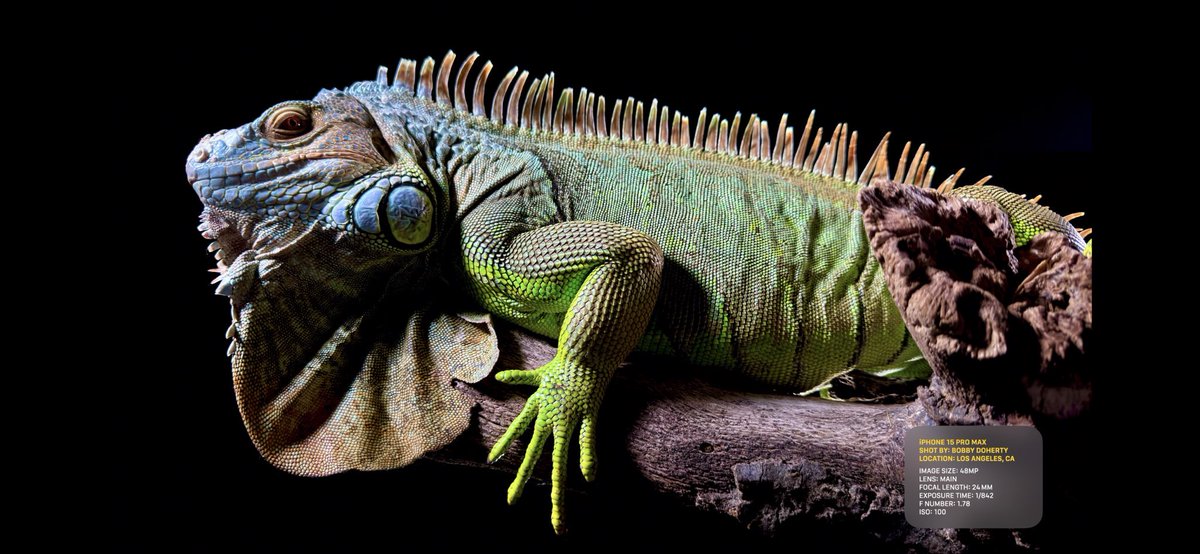 iPhone 15 Pro can shoot in both 48 MP Pro RAW and HEIC. MOAR PIXELS. #AppleEvent