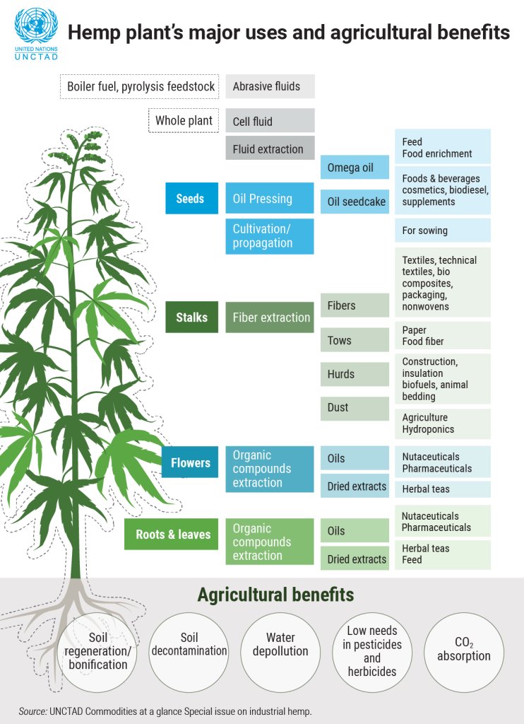 Kansans For Hemp tweet media