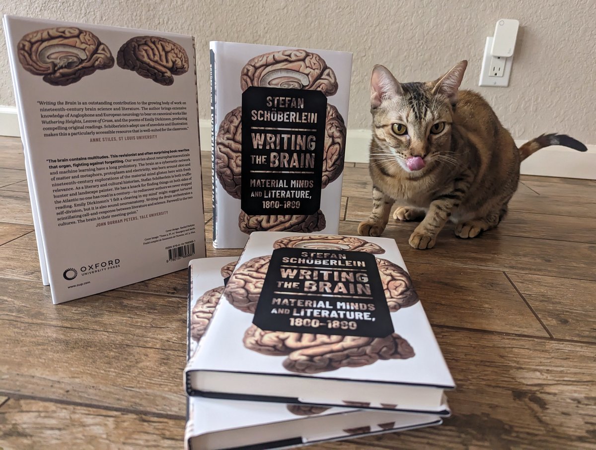 Stefan Schöberlein tweet media