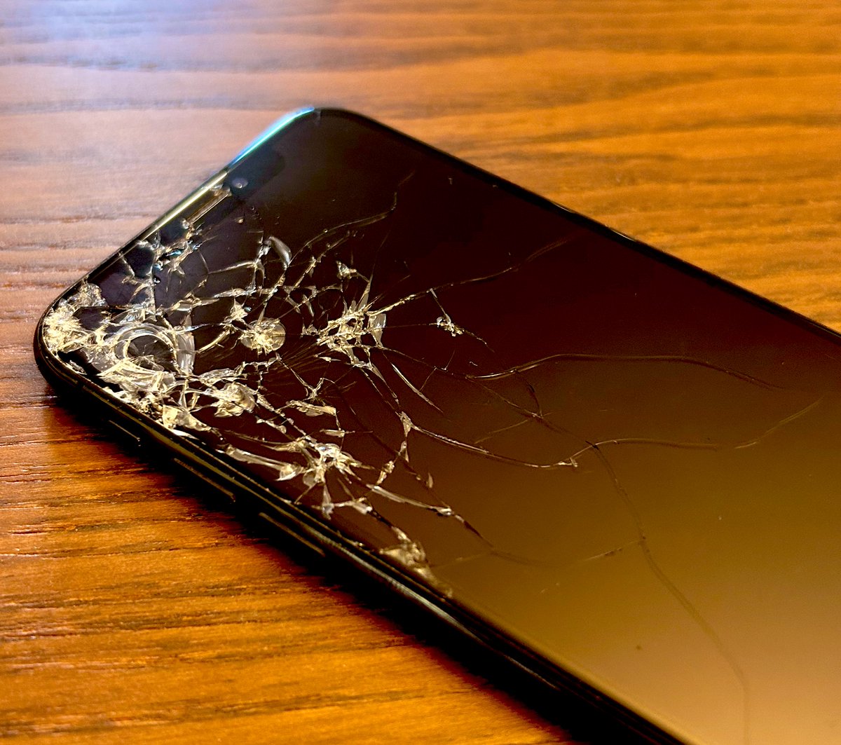 The iPhone Stripped Bare by Her Bachelors, Even.