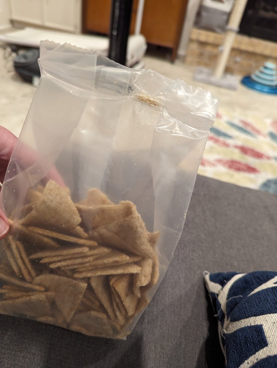 Trish Lowery tweet media