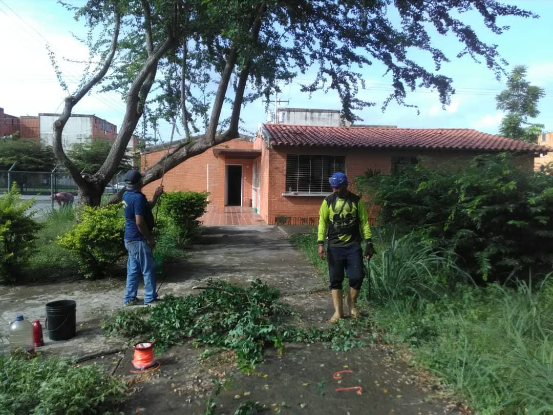 ucdesco's tweet photo. Trabajadores de la Facultad de Odontología de la UC, a cargo del jefe de mantenimiento, Capitán Galicia, realizaron labores de limpieza en las áreas verdes del Espacio San Diego Desco UC y del módulo B de La Facultad de Odontología 08-09-2023 https://t.co/DSCbxxYJRo