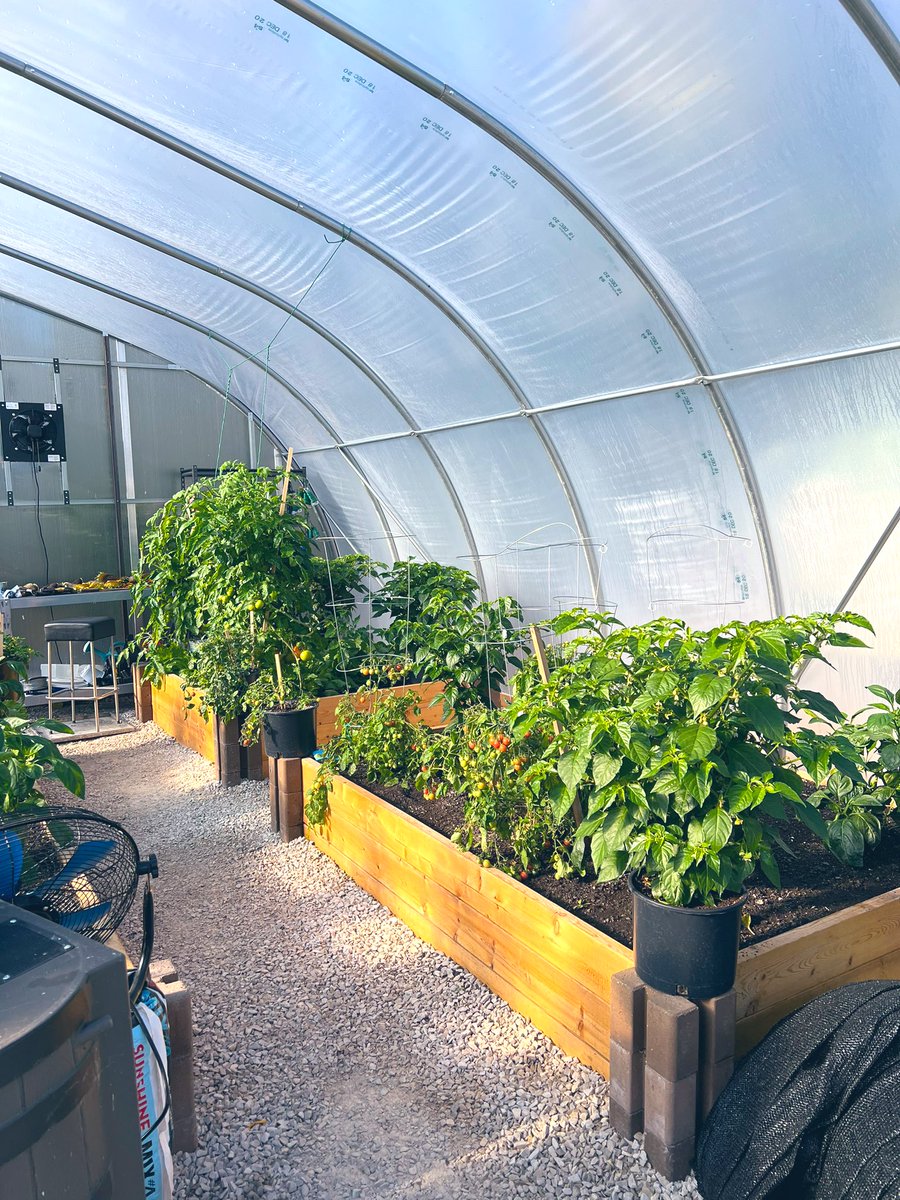 jackielconnell's tweet photo. Beautiful new greenhouse space at the Engaged Learners Program in Cranberry Portage. Look at those good looking tomato’s!! #Horticulture #Gardening #FrontierSD 🍅 https://t.co/IHUAOsGqgt
