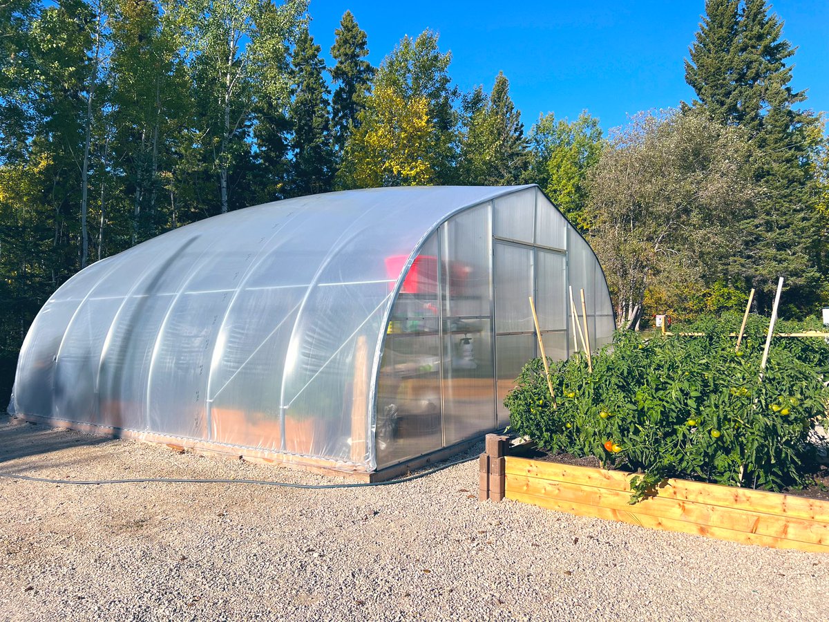 jackielconnell's tweet photo. Beautiful new greenhouse space at the Engaged Learners Program in Cranberry Portage. Look at those good looking tomato’s!! #Horticulture #Gardening #FrontierSD 🍅 https://t.co/IHUAOsGqgt