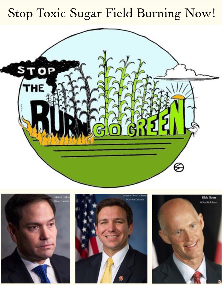 LesliePhilips3's tweet photo. @daspacecowboy21 @JoJoFromJerz Hopefully he’ll move there, after his presidential campaign. I would Love to get him OUT of FLORIDA! He is ruining this state. Hopefully he will take Scott &amp; Rubio with him!🌴🍊🐬🦩🐊💕 https://t.co/RDm1zHMPox