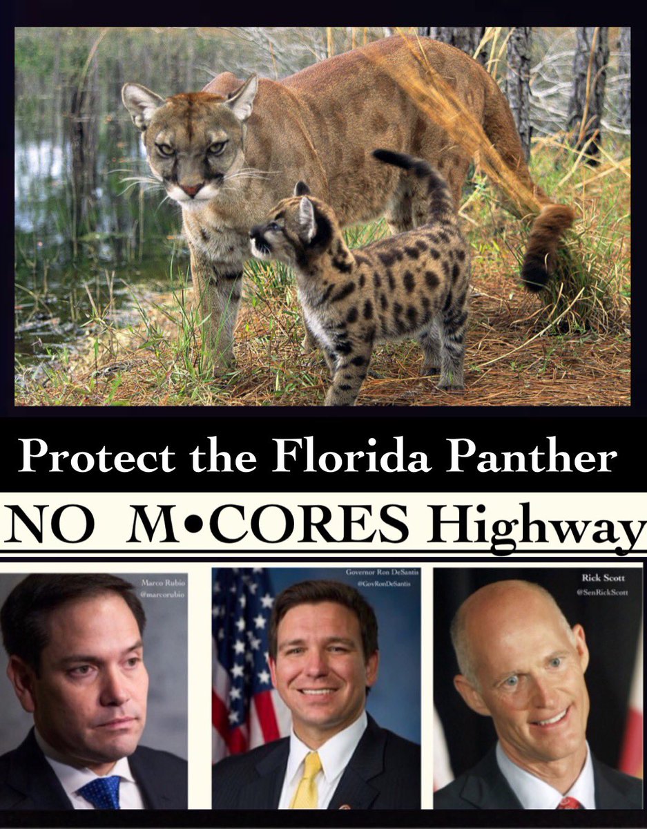LesliePhilips3's tweet photo. @daspacecowboy21 @JoJoFromJerz Hopefully he’ll move there, after his presidential campaign. I would Love to get him OUT of FLORIDA! He is ruining this state. Hopefully he will take Scott &amp; Rubio with him!🌴🍊🐬🦩🐊💕 https://t.co/RDm1zHMPox