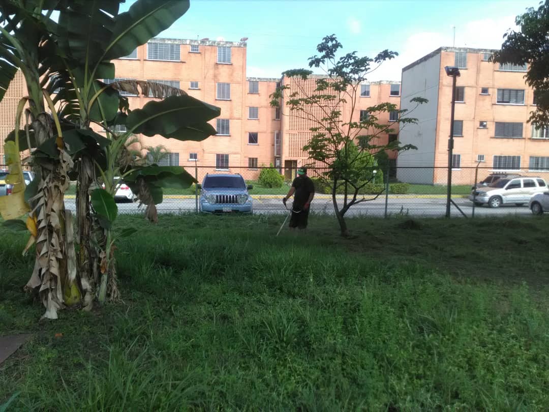 ucdesco's tweet photo. Trabajadores de la Facultad de Odontología de la UC, a cargo del jefe de mantenimiento, Capitán Galicia, realizaron labores de limpieza en las áreas verdes del Espacio San Diego Desco UC y del módulo B de La Facultad de Odontología 08-09-2023 https://t.co/DSCbxxYJRo