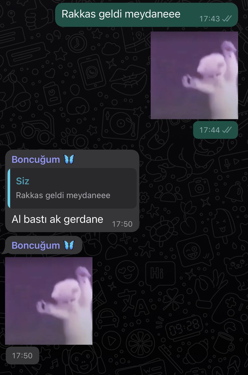edadeyin's tweet photo. Benim gacılarla mental sağlığımız 🥹 https://t.co/qMlKf3xKJ6