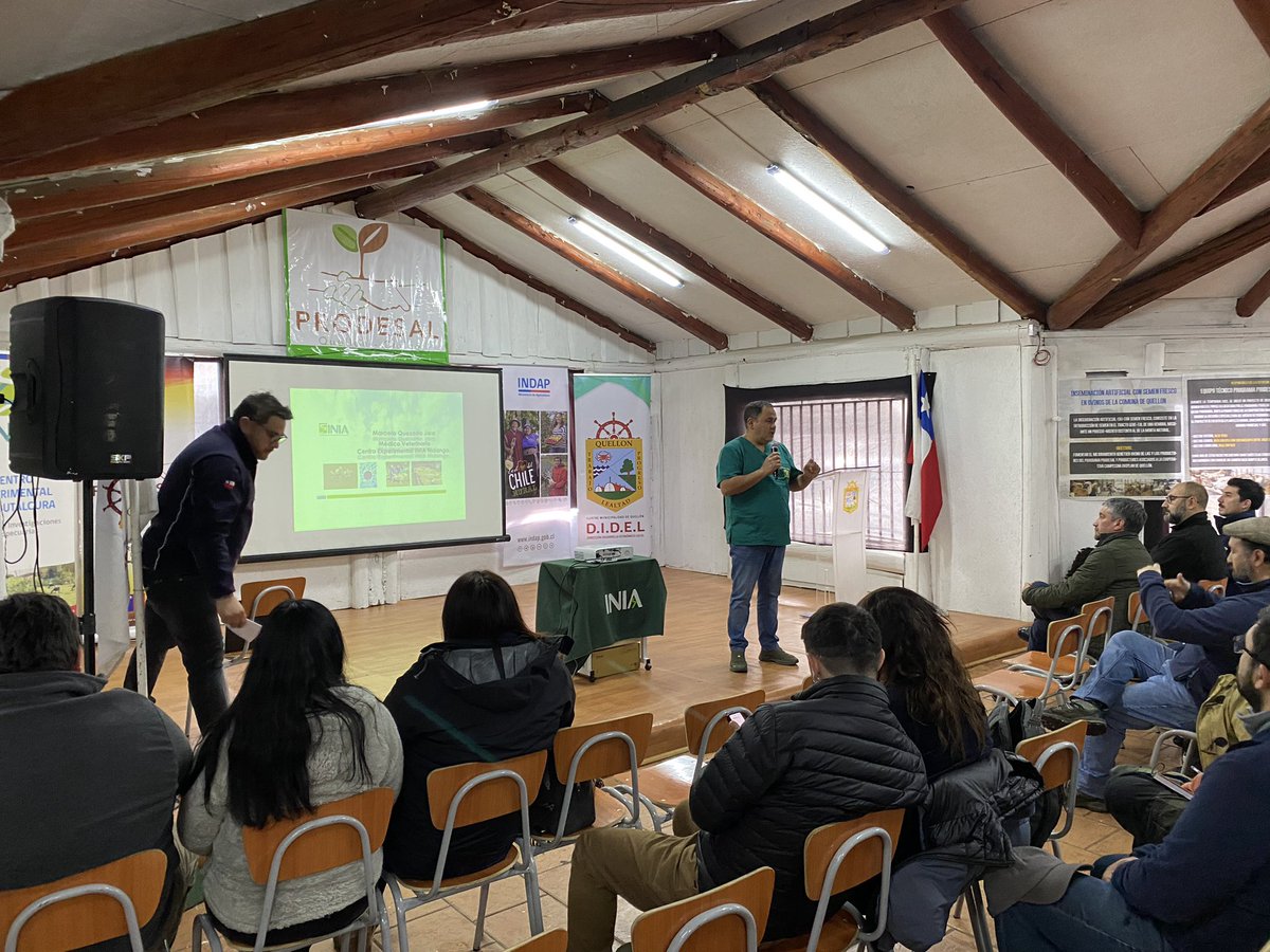 Hoy, con una masiva presencia de productores y productoras de ganadería ovinas 🐑; se realizó seminario de “Genética 🧬 y reproducción animal” en la comuna de #Quellón. <a href="/IndapLosLagos/">Indap Los Lagos</a> <a href="/MinagriCL/">Ministerio de Agricultura de Chile 🇨🇱</a> <a href="/iniachile/">INIA Chile</a> <a href="/inia_remehue/">INIA Remehue</a> <a href="/INDAP_Chile/">INDAP_Chile</a> <a href="/MuniQuellon/">MuniQuellón</a> <a href="/MinagriLosLagos/">Minagri Los Lagos</a> <a href="/radiochiloe/">radiochiloe</a>