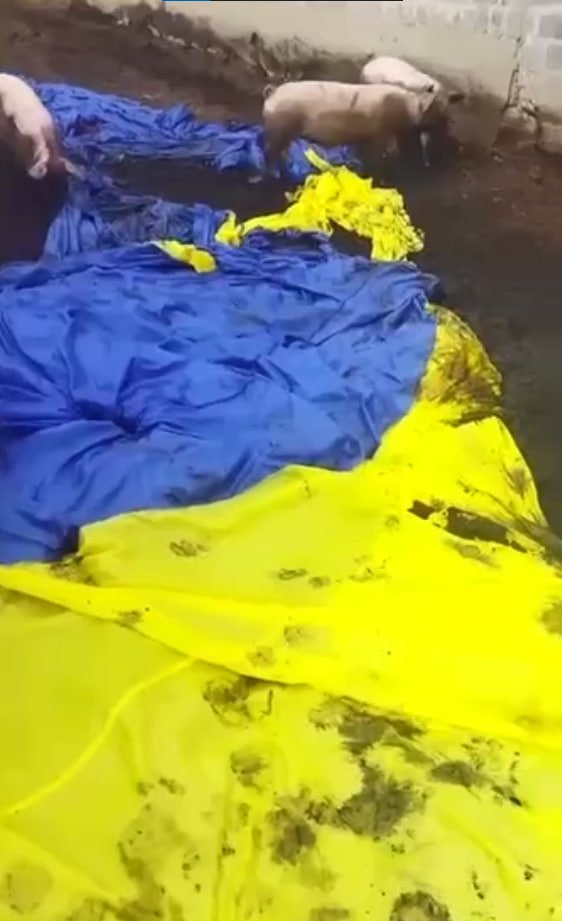 1) AFU soldiers send a Ukrainian flag with UPA-colored balloons to fly over Donetsk People's Republic territory 2) The flag falls right into a pile of shit in a pigsty 🤷‍♂️