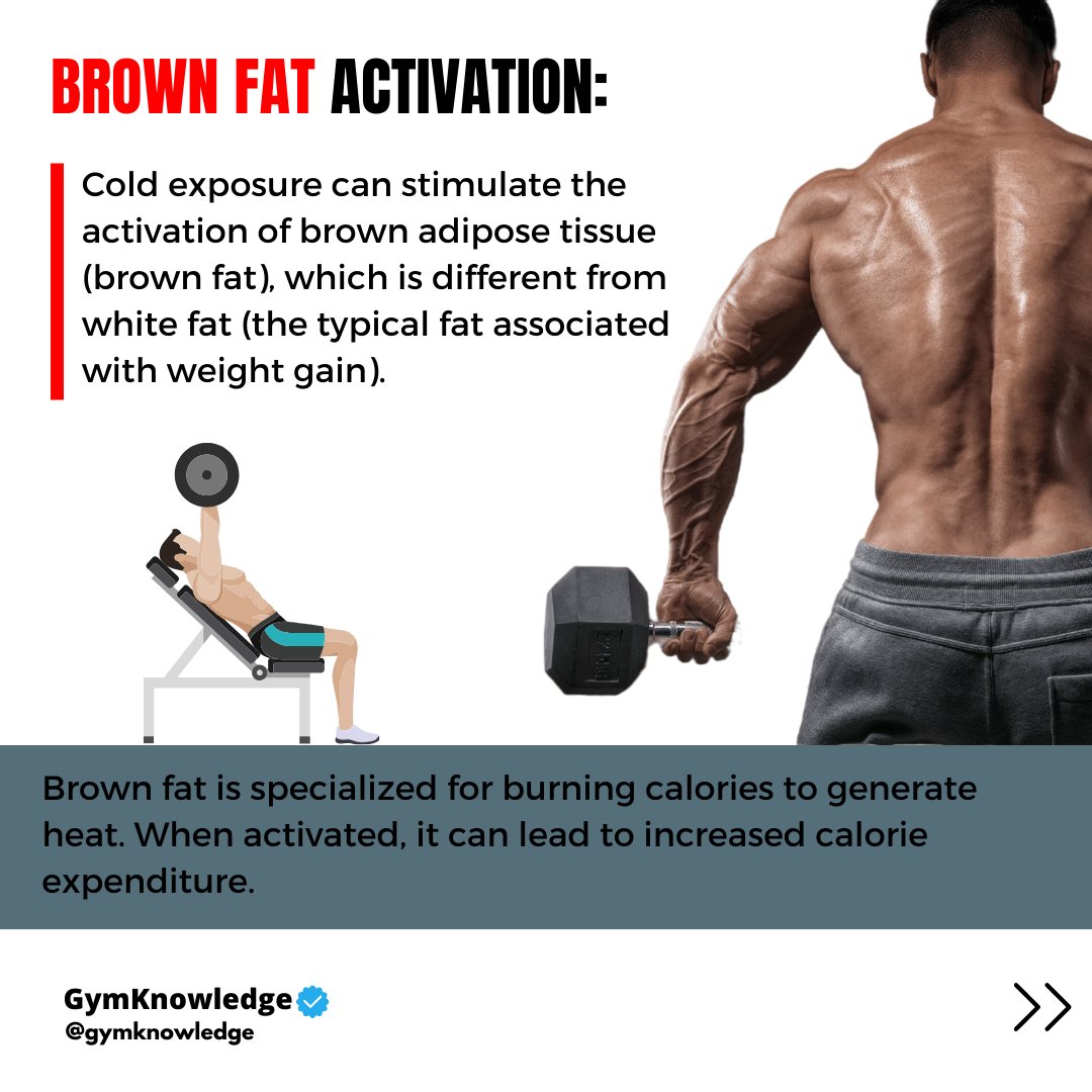 GymKnowledgeOne's tweet image. 🌡️ Unlocking Cold-Induced Thermogenesis 🌡️

Ever wondered if the cold can help you shed those extra pounds? Let&apos;s dive into the science of &quot;cold-induced thermogenesis&quot; ❄️.

#weightlossjourney #coldthermogenesis #healthyliving