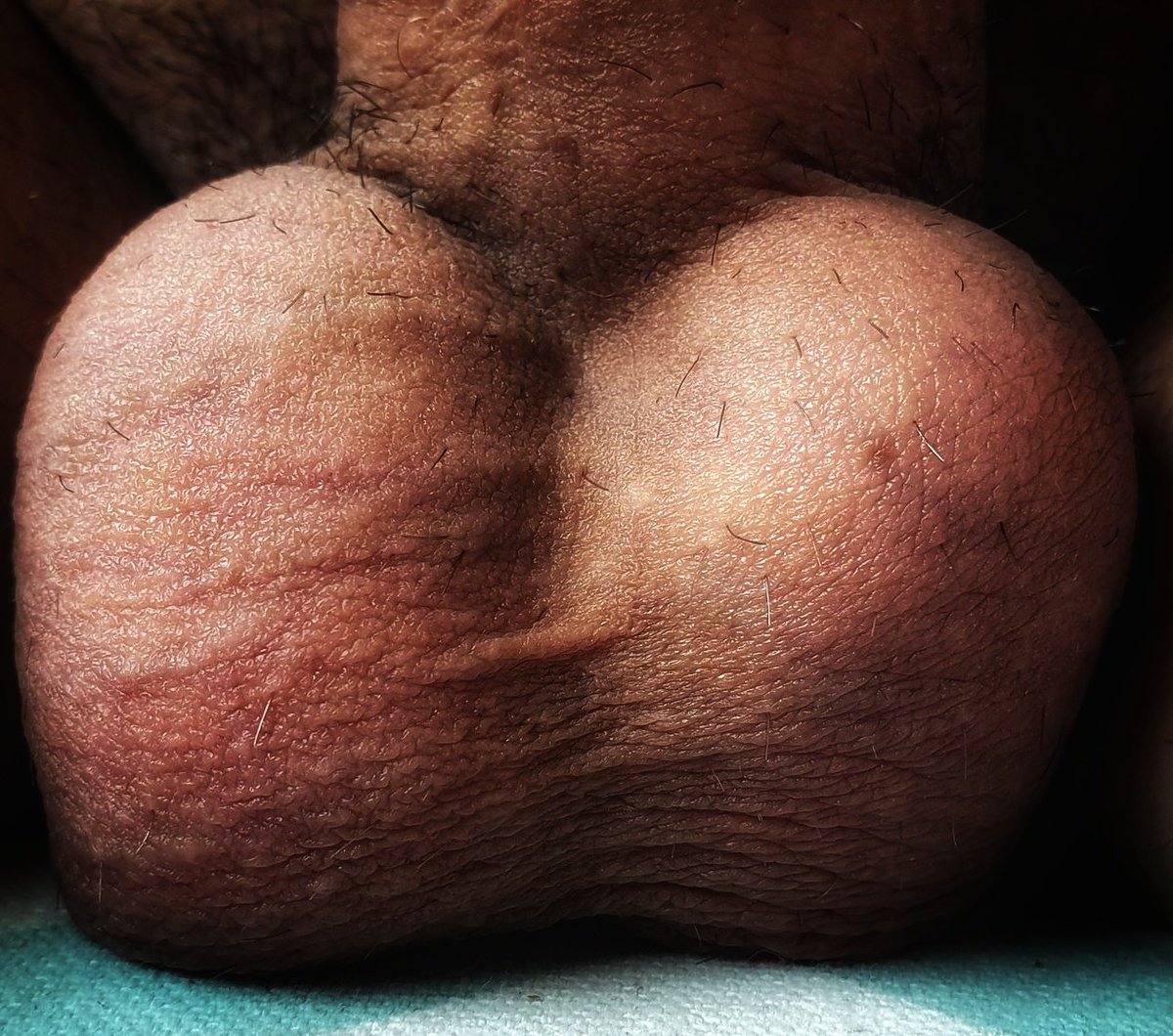 הביצים שלי הסתקרנו,
מעניין אתכם גם לקבל טעימות מהמלכה?

#ביצים #פידביסקס #ביסקסואל #פידלילה #balls