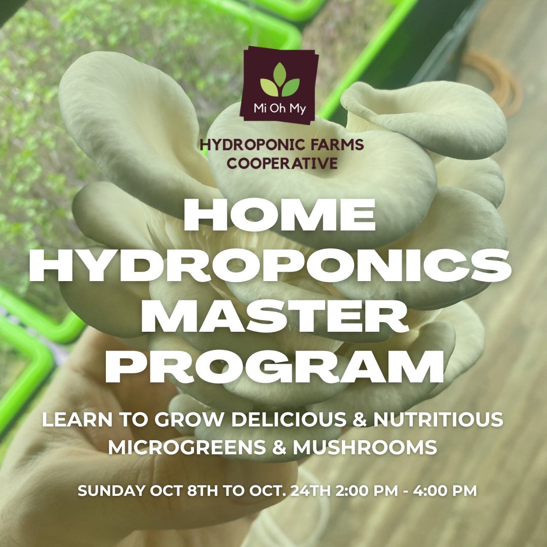 Home Hydroponics Master Program
Sundays: Oct 8th-24th from 2PM - 4PM. This is a 4 week course consisting of weekly two hour in-person sessions that will teach students how to cultivate microgreens and mushrooms at home! 

➡️ miohmyfarms.com/workshops