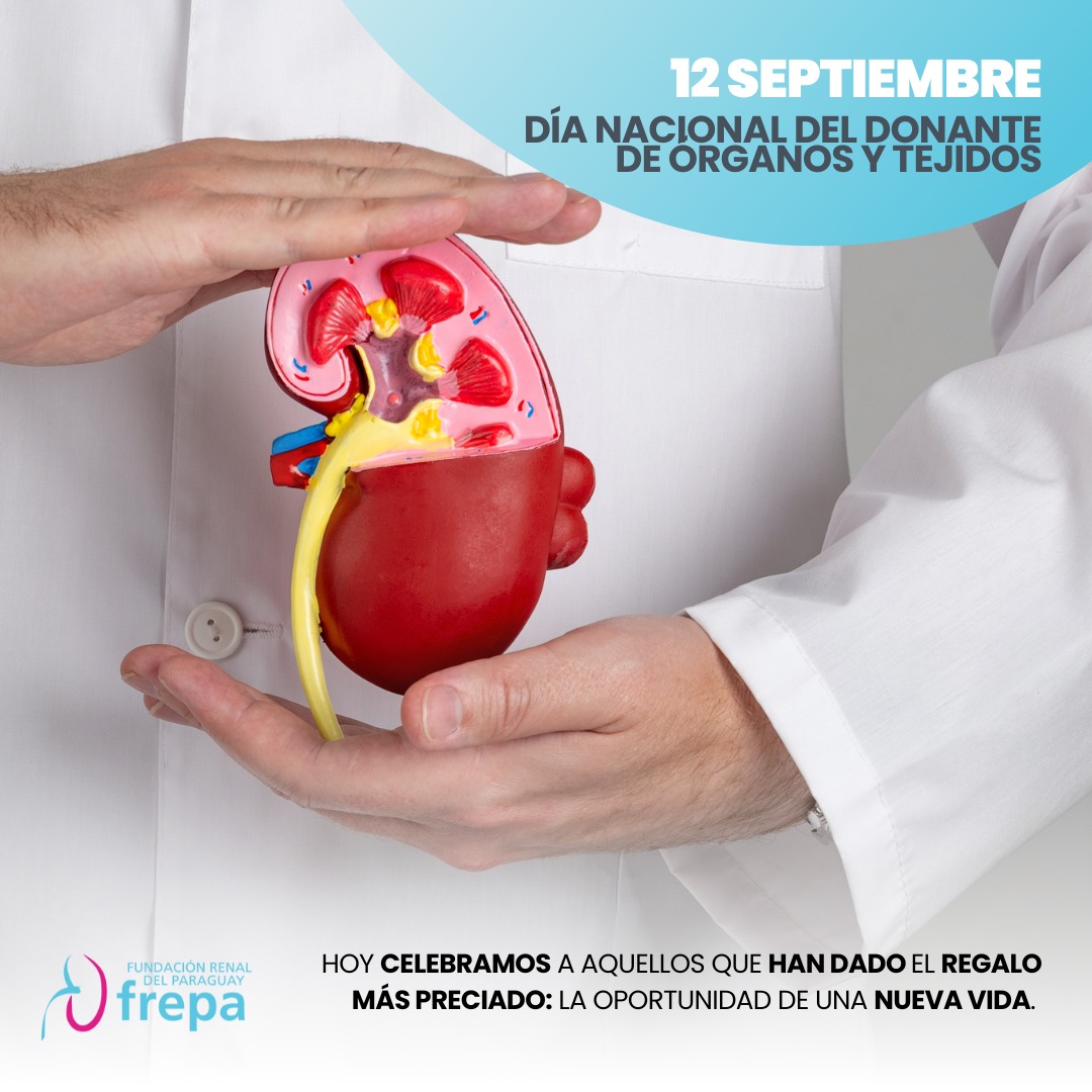 frepapy's tweet photo. Es una oportunidad para agradecer a quienes solidariamente han donado o han manifestado su voluntad de hacerlo. 
Un donante puede salvar hasta 8 vidas.
Más de 260 personas necesitan un trasplante en nuestro país. 🇵🇾 https://t.co/KrYWDqQXRz