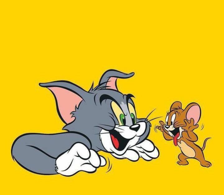 thugcode255's tweet image. Watu fake tunacheka nao lakini wametuwekea PLAN B