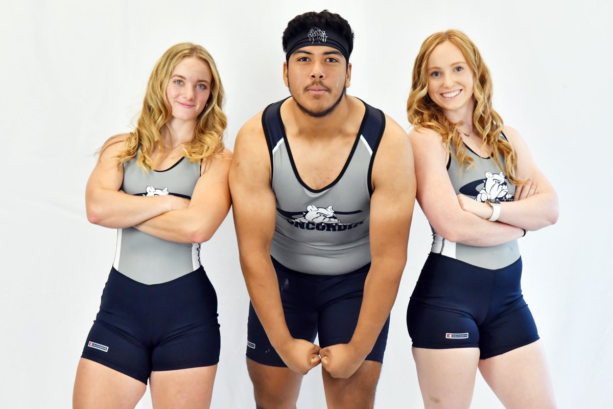 Concordia Bulldogs tweet media