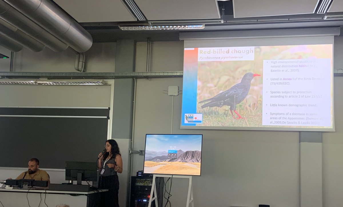 emanuelagranat3's tweet photo. I am still so thrilled to have presented our preliminary results on the vocal repertoire of this beautiful bird during the #XXICIO. Can't wait to show more results and advancement 🤩 #bioacustic #redbilledchough https://t.co/klhhFlURHL