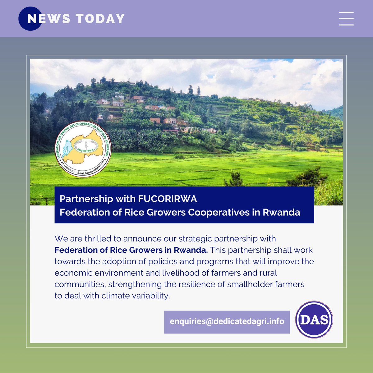 Dedicated_Agri (@dedicatedagri) on Twitter photo We are excited to announce our strategic partnership with Federation of Rice Growers Cooperatives in #Rwanda, facilitating sustainable and market driven production systems.
<a href="/RwandaAgri/">Ministry of Agriculture & Animal Resources |Rwanda</a> <a href="/AFRwanda/">Access to Finance Rwanda (AFR)</a> <a href="/KmdRaise/">KMD Initiative ‘RAISE’</a> <a href="/RwandaAgriBoard/">Rwanda Agriculture & Animal Resources Devpt Board</a> <a href="/RwandAgriExport/">NAEB</a> <a href="/rugambat2/">Rugambat</a>
<a href="/NSHUTILAMBERT/">LAMBERT NSHUTI</a> <a href="/SahaAyandev/">Ayandev Saha</a> We are excited to announce our strategic partnership with Federation of Rice Growers Cooperatives in #Rwanda, facilitating sustainable and market driven production systems.
<a href="/RwandaAgri/">Ministry of Agriculture & Animal Resources |Rwanda</a> <a href="/AFRwanda/">Access to Finance Rwanda (AFR)</a> <a href="/KmdRaise/">KMD Initiative ‘RAISE’</a> <a href="/RwandaAgriBoard/">Rwanda Agriculture & Animal Resources Devpt Board</a> <a href="/RwandAgriExport/">NAEB</a> <a href="/rugambat2/">Rugambat</a>
<a href="/NSHUTILAMBERT/">LAMBERT NSHUTI</a> <a href="/SahaAyandev/">Ayandev Saha</a>
