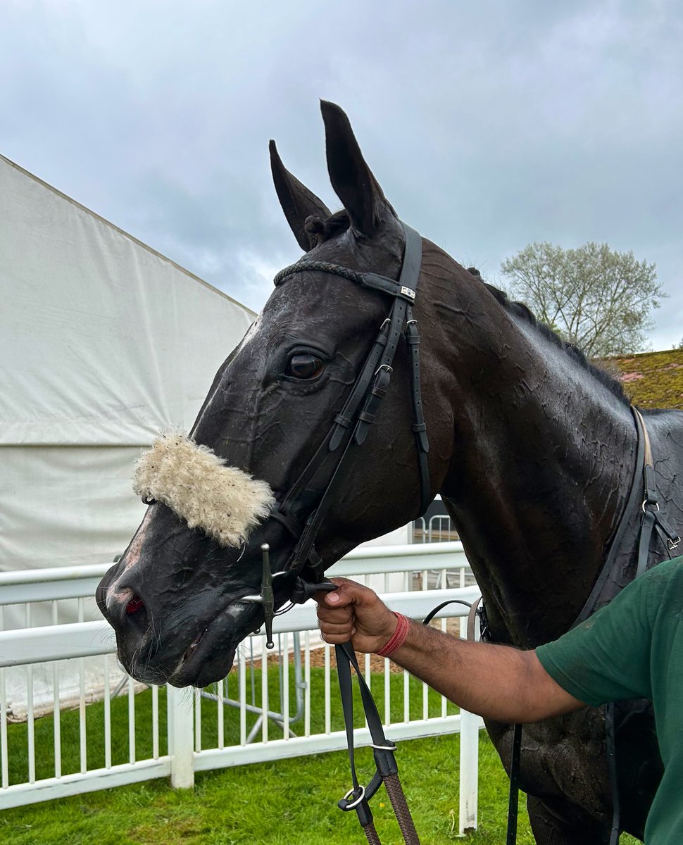 Weatherbys Limited (@weatherbysltd) on Twitter photo Glajou ran out a very impressive 12 length winner of <a href="/paulfergusonJTF/">Paul Ferguson</a> Jumpers To Follow Handicap Chase <a href="/WorcesterRaces/">Worcester Racecourse</a>. Many congratulations to John Hobbs, <a href="/Neil_Mulholland/">Neil Mulholland</a> & <a href="/Bryan_Carver_/">Bryan Carver</a> . The son of Network was bred by Jacques Cypres & Laurent Couetil. πΈ <a href="/nigekirby/">Nigel Kirby Photography</a> Glajou ran out a very impressive 12 length winner of <a href="/paulfergusonJTF/">Paul Ferguson</a> Jumpers To Follow Handicap Chase <a href="/WorcesterRaces/">Worcester Racecourse</a>. Many congratulations to John Hobbs, <a href="/Neil_Mulholland/">Neil Mulholland</a> & <a href="/Bryan_Carver_/">Bryan Carver</a> . The son of Network was bred by Jacques Cypres & Laurent Couetil. πΈ <a href="/nigekirby/">Nigel Kirby Photography</a>