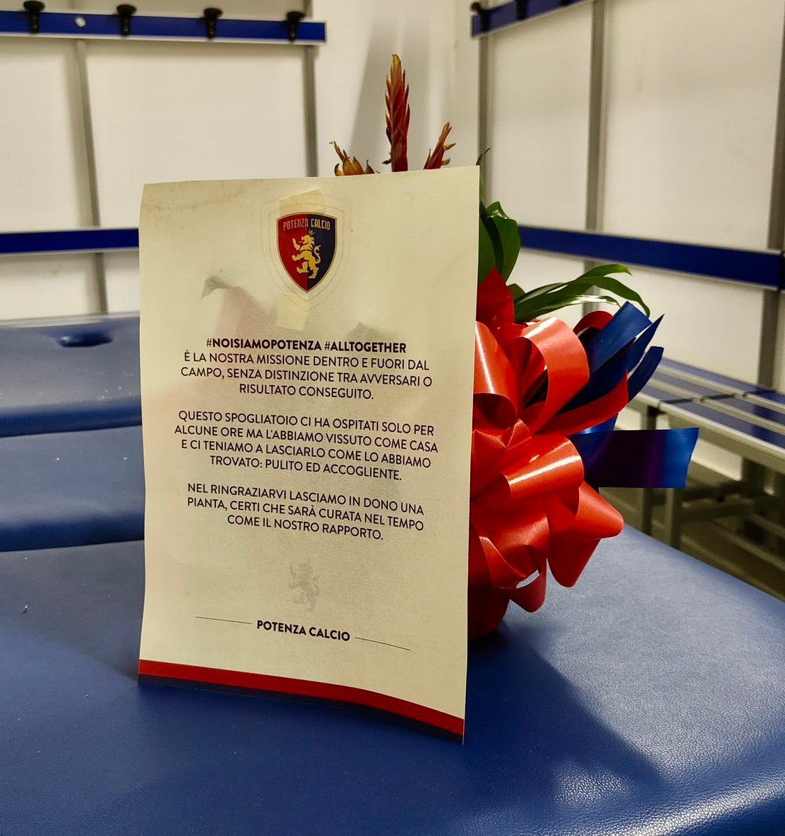 Fabio Vasti tweet media