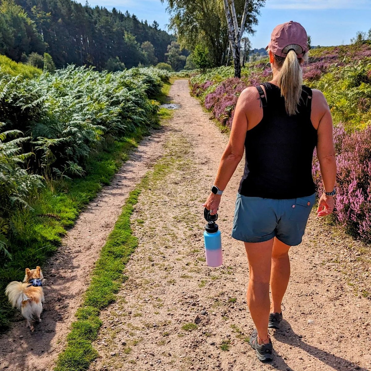 Striding into Autumn with an Insulated Roamer Bottle  🍁🍄

📷 @clanadventures

#HydrateM8 #InsulatedBottle #stayhydrated💦 #autumnvibe #forestwalks #purpleheather #outdoorsygirl #familyhiking #dogwalksofinstagram @hydratem8