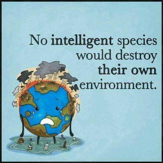 #INDIGENOUS #TAIRP