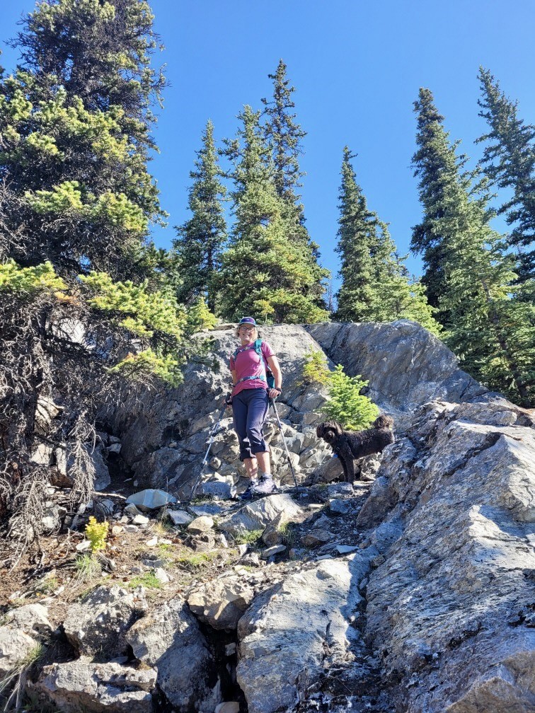 Linda_E_Carlson's tweet photo. Anyone on the road/plane/train, post your travel pics to #sio2023 so we can see your journey! Here's where I came from - did a lovely hike Sunday and have all of a 20 minute drive to the Banff Centre today! @Integrativeonc #integrativeonc https://t.co/1cU0Wi20RE