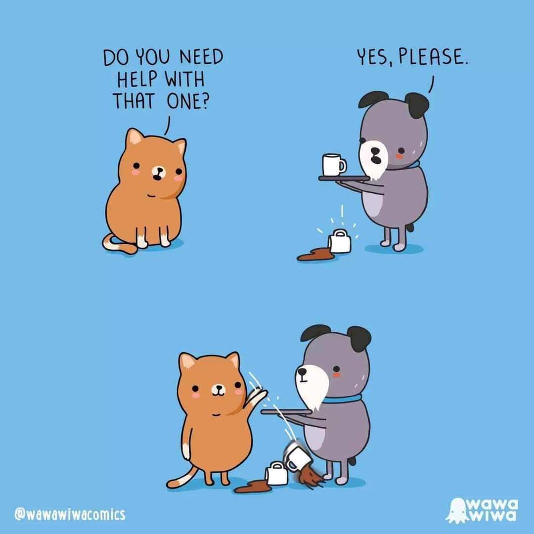 Jess_fer15's tweet photo. https://t.co/xB2CMs0LqA